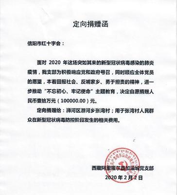 20万捐款涌向信阳移民村 “阿里加”行动诠释民间公益温度